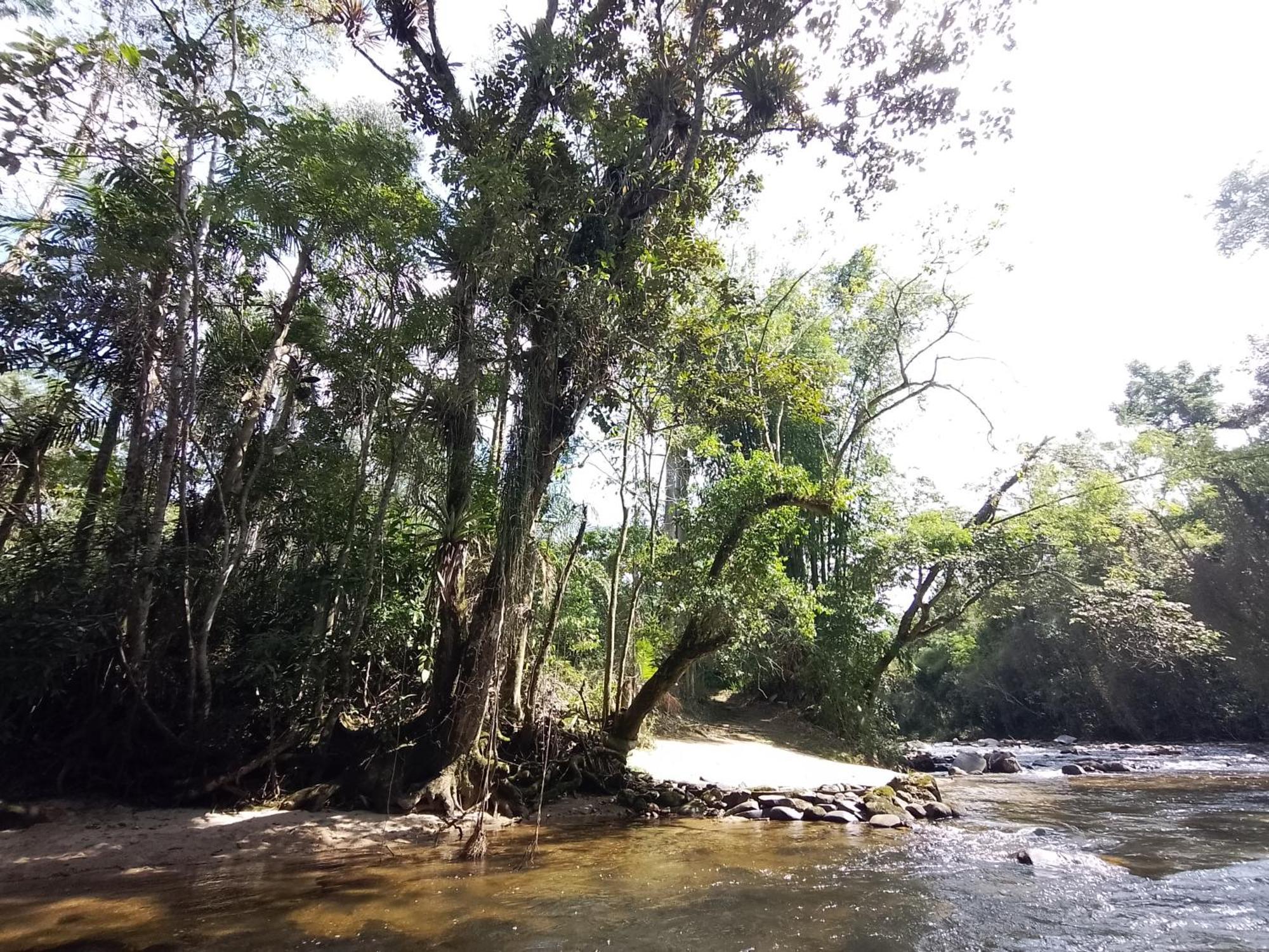 Holiday home Casa Agaves A Beira Rio - Sitio Terra Surya *